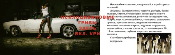 винт Кропоткин