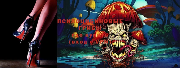 не бодяженный Михайлов