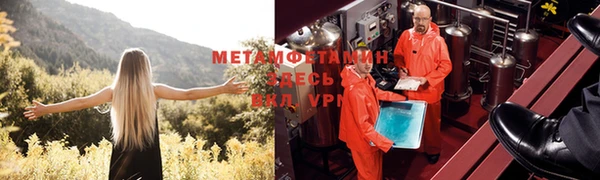 не бодяженный Михайлов