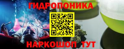 шишки Гусев