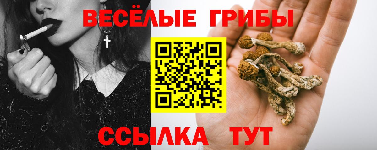 Псилоцибиновые грибы Psilocybine cubensis  Вход с VPN  Мариинск 