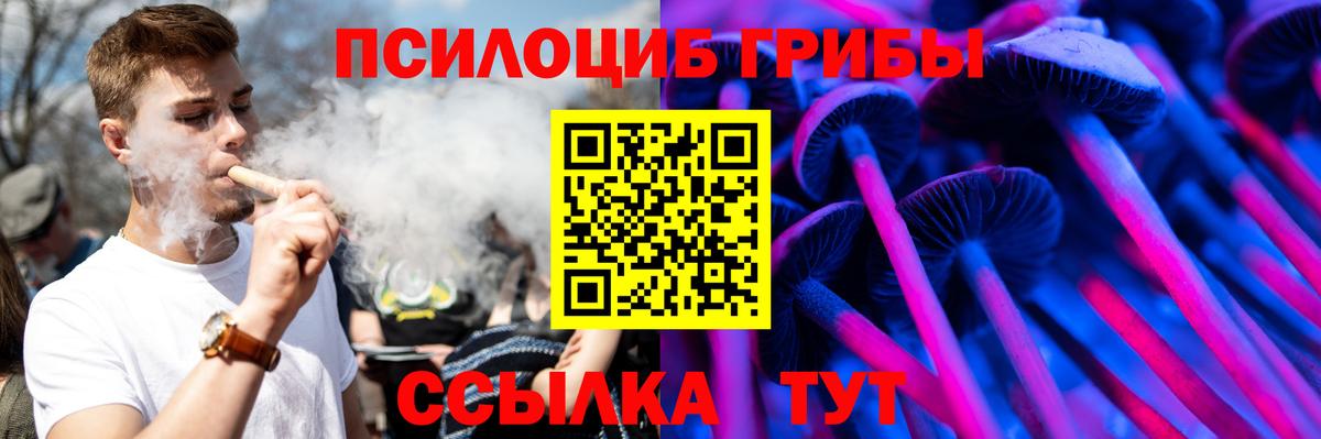 Псилоцибиновые грибы Cubensis Мариинск